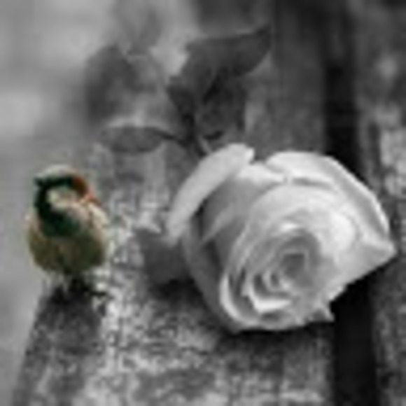 Meet your Posher!!! - Picture 4 of 4